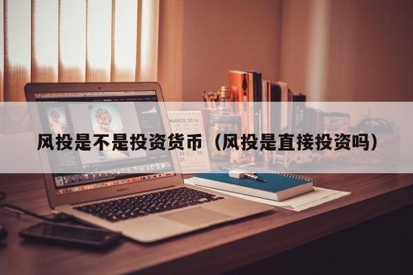 风投是不是投资货币(风投是直接投资吗)