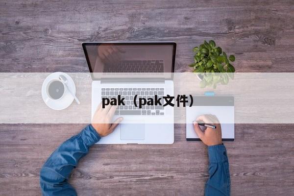 pak(pak文件)