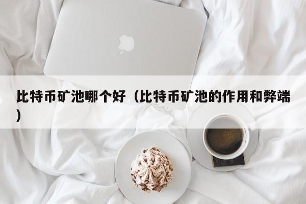 比特币矿池哪个好(比特币矿池的作用和弊端)