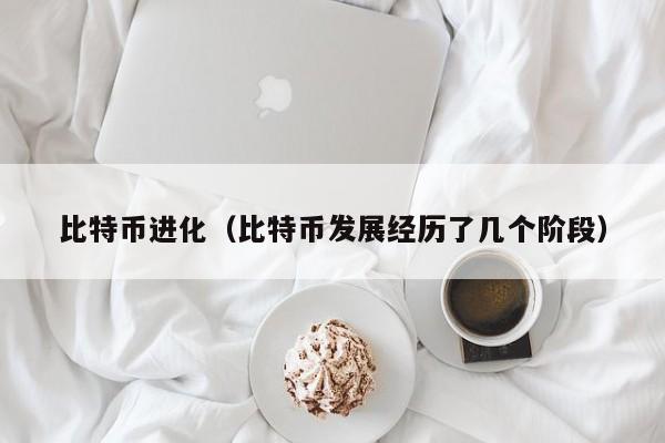 比特币进化(比特币发展经历了几个阶段)