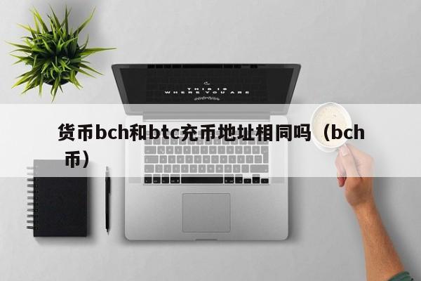 货币bch和btc充币地址相同吗(bch 币)