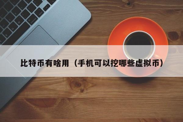 比特币有啥用(手机可以挖哪些虚拟币)