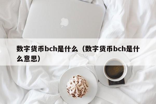 数字货币bch是什么(数字货币bch是什么意思)