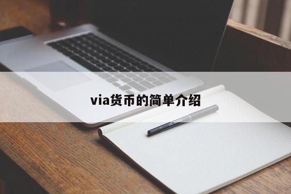 via货币的简单介绍